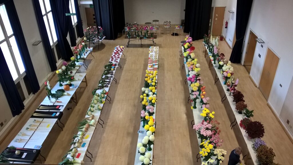 Horticultural and Produce Show 2016 - Overview of the Show