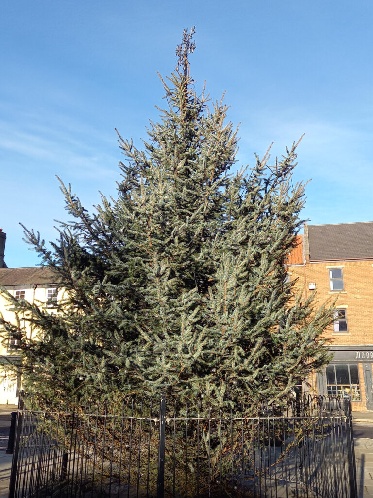 Christmas Tree outside of Bishop Auckland Town Hall